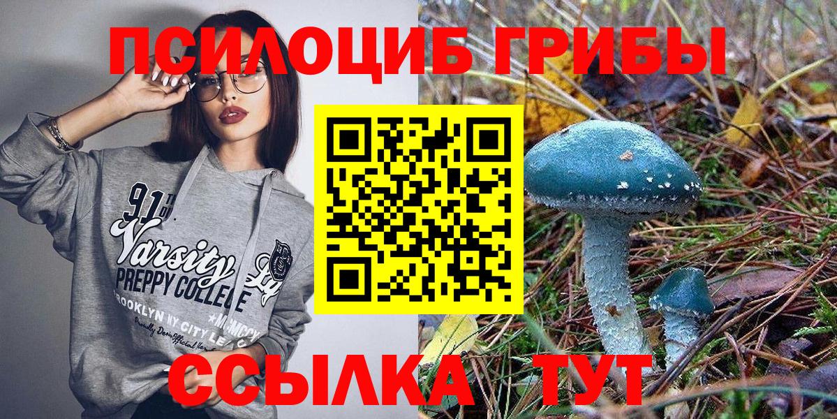 Ноябрьск  Псилоцибиновые грибы Magic Shrooms  Вход с VPN 