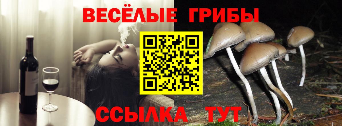 Галлюциногенные грибы мухоморы Ноябрьск